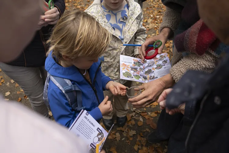 STADSBOS kinderen 2025 Roos PiersonDSCF1676-scaled