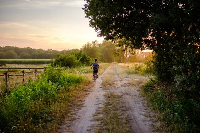 Regte Heide nature Jostijn Jigtvoet 2