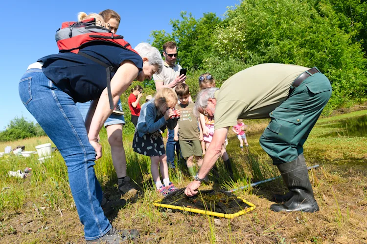 Merk Tilburg Download stadsbosdag2023-stadsbos013-04062023-jostijnligtvoetfotografie-558