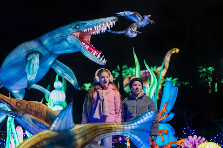 Light Safari 25-26 - 3