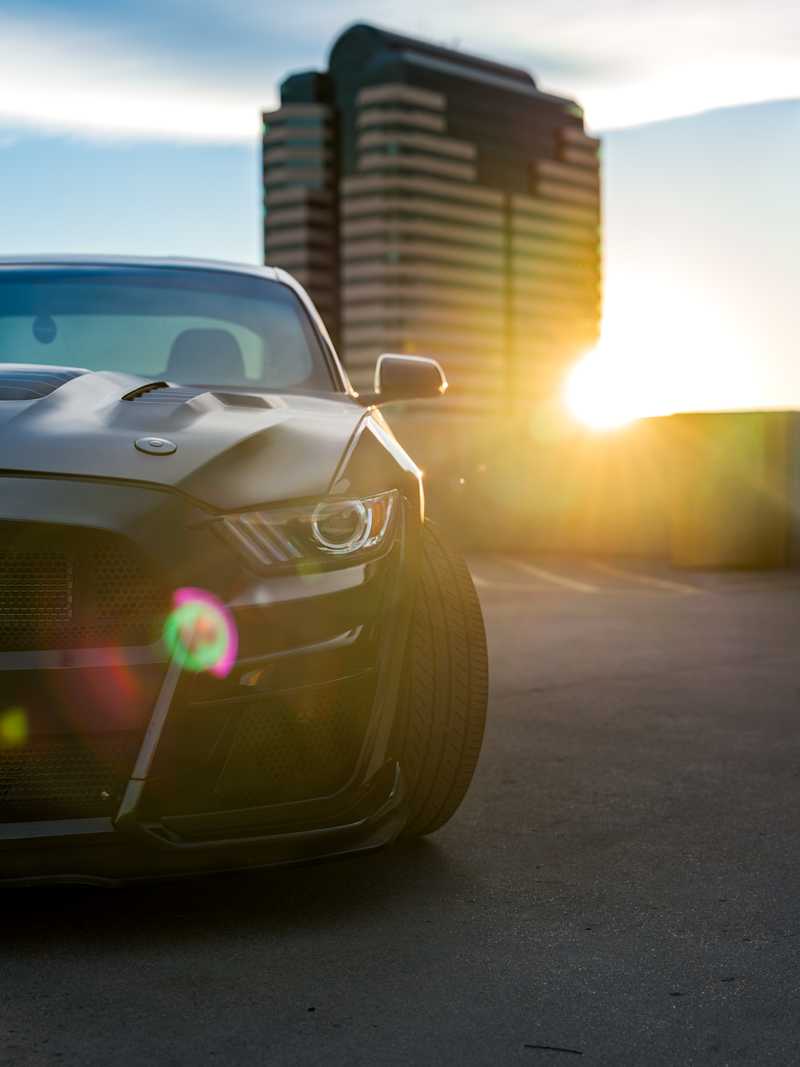Denver Mustang