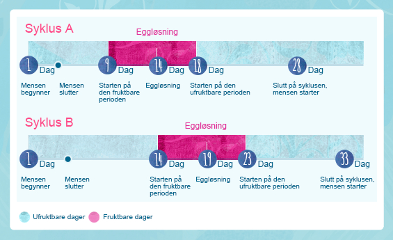 Bilde av to menstruasjonssykluser. Syklus A som varer i 28 dager og har en menstruasjonsblødning etter ca 9 dager. Syklus B har 33 dager og har en menstruasjonsblødning etter 14 dager,