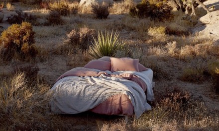 Parachute in Joshua Tree