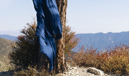 Indigo fabric blowing in the wind.