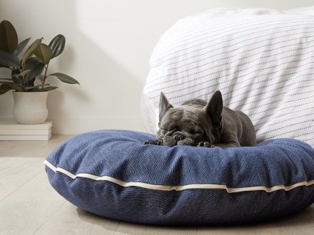 Denim Dog Bed Shown In A Room