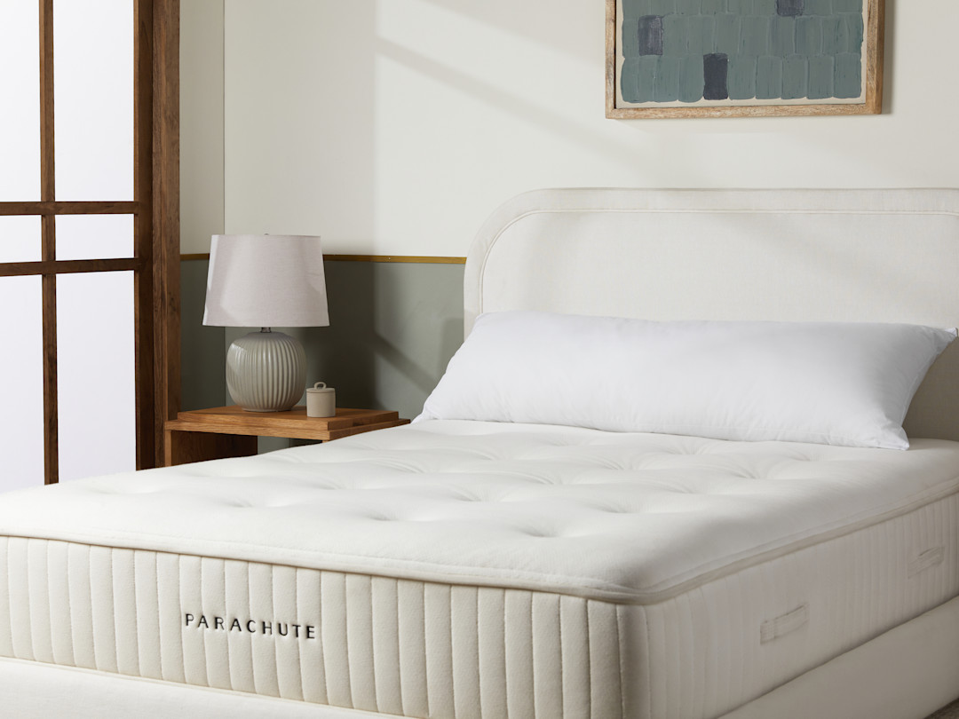 Down Alternative Body Pillow Insert Parachute