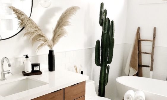 cactus in bathroom 