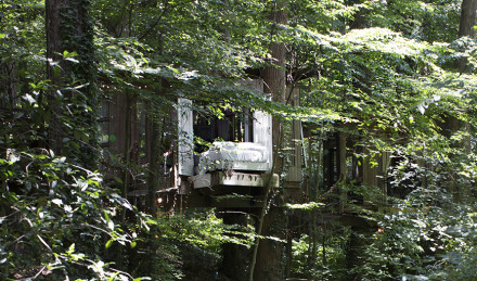 Airbnb treehouse