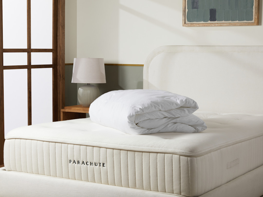 Down Alternative Duvet Insert Parachute