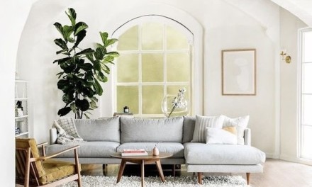 35 Best Colorful Throw/Sofa Pillows Ideas  Cozy house, Sofa pillows, Home  living room