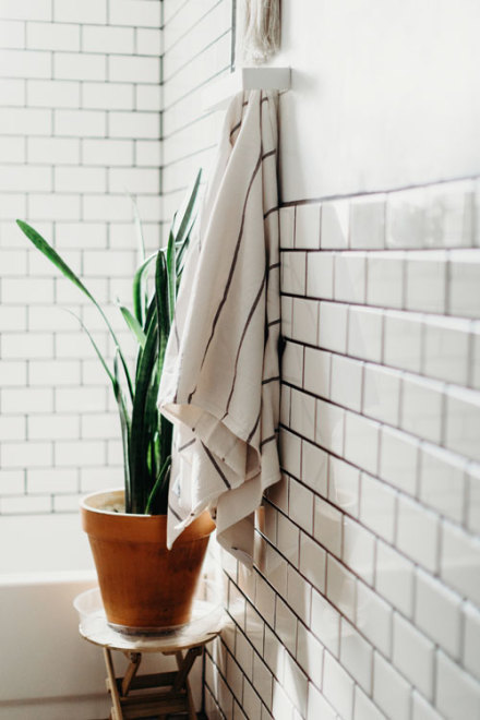 Image of a potted plant on a stool.