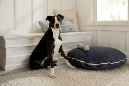 Madewell x Parachute denim dog bed