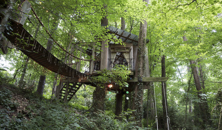 Airbnb treehouse