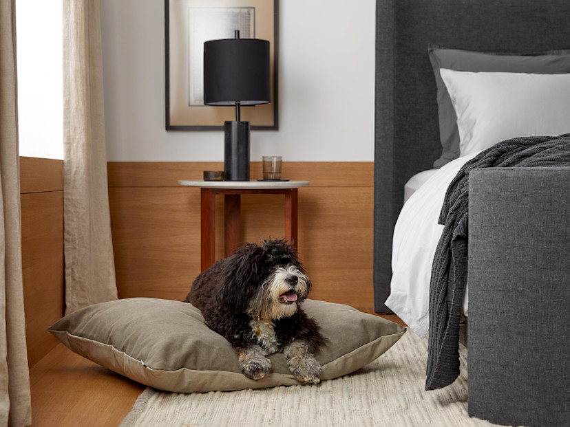 Canvas Dog Bed Parachute
