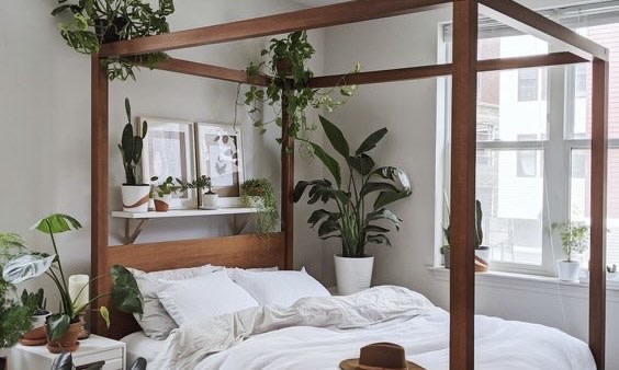 foliage surrounding bed 