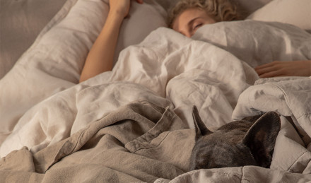 woman sleeping in cozy bedding with her french bulldog