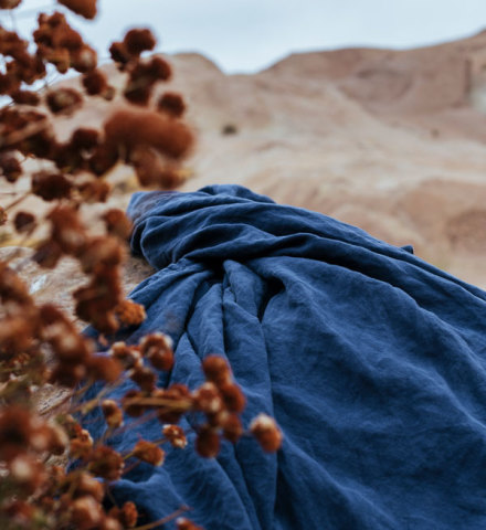 Indigo fabric behind a wild desert plant.