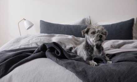 Dog in coal linen