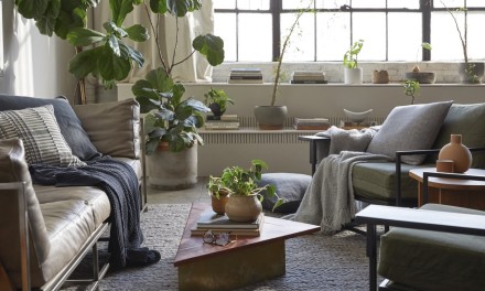 nicely decorated living room