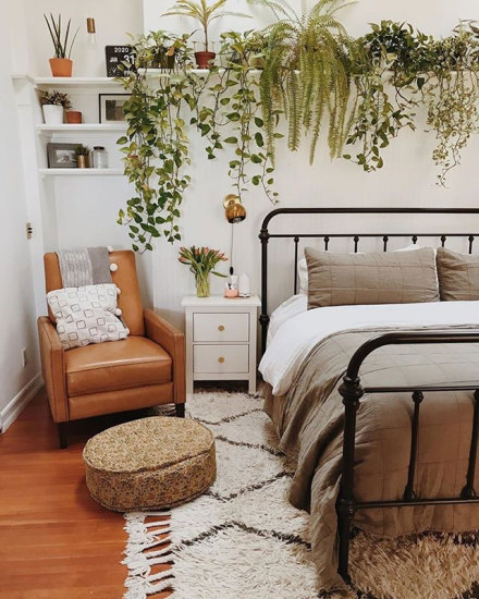 Image of plants on a shelf over a bed. 