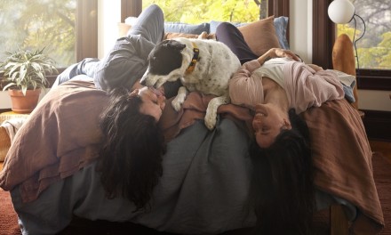 couple on their bed with a dog 
