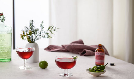 Healthy Holiday Cocktails, With Sakara Life