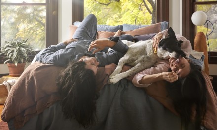 a happy couple in bed with their dog 