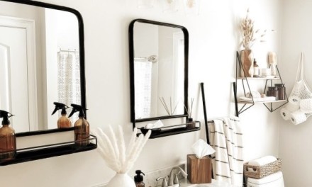 The Mirror With Shelf Combo - Sleek And Practical Design Ideas