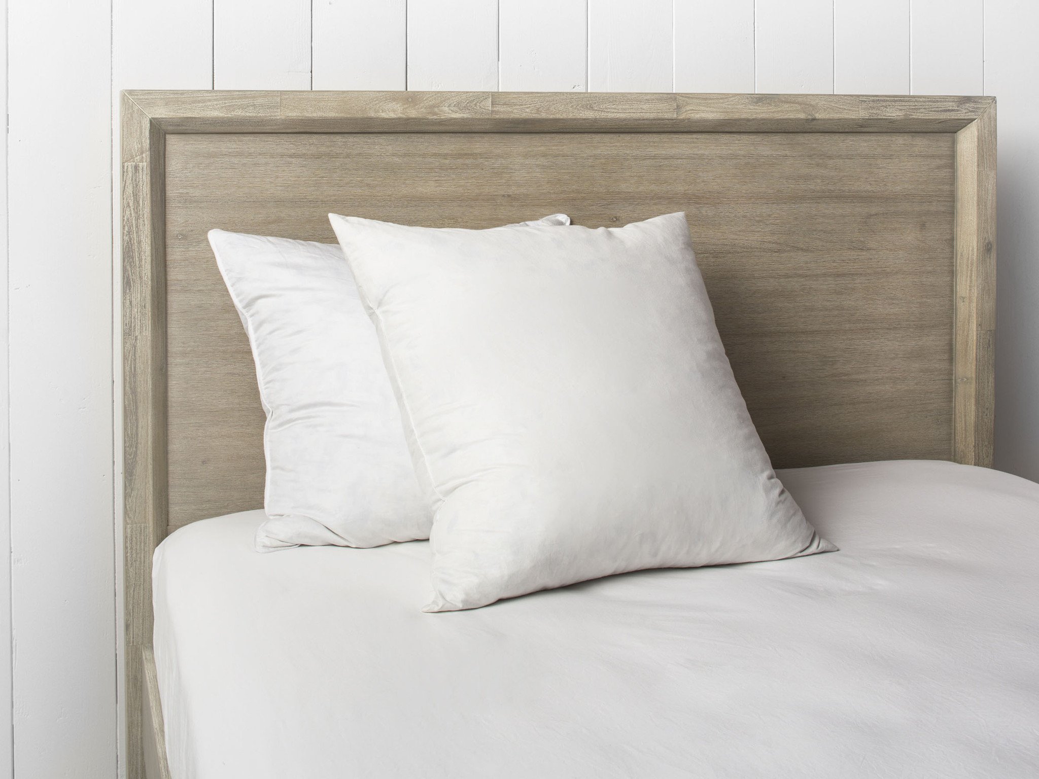 feather euro pillow