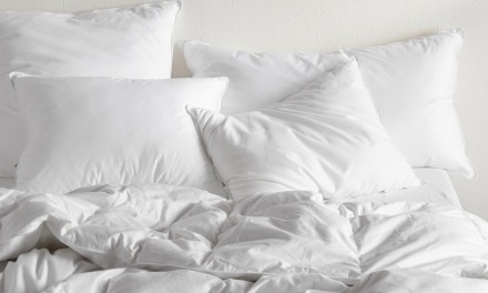 Bedding Guide - What Fill is Best?