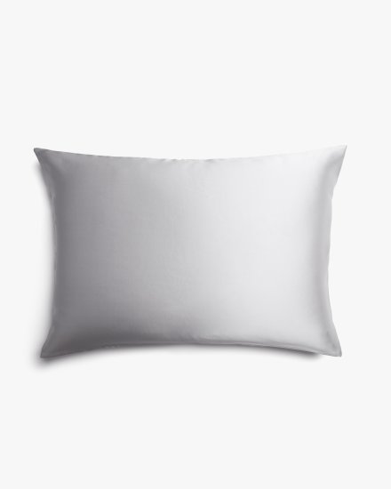 Light Grey Silk Pillowcase