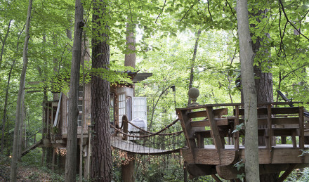 Airbnb treehouse 