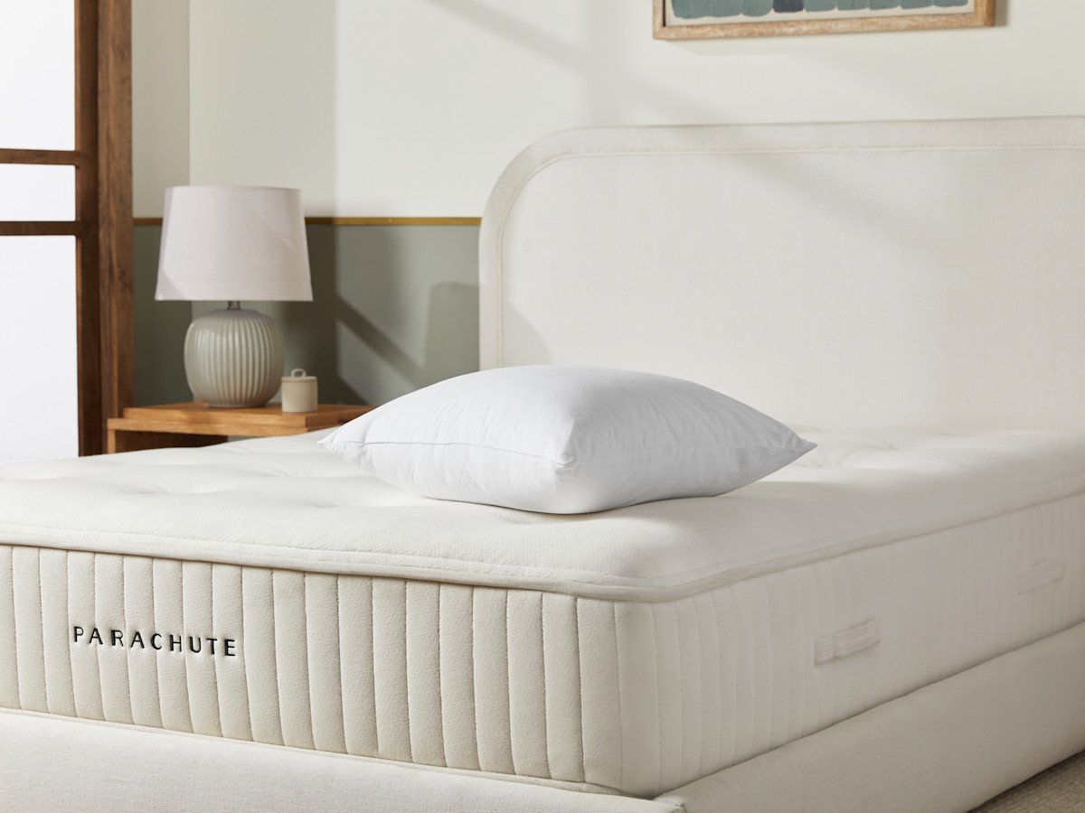 Down Alternative Decorative Pillow Insert Parachute