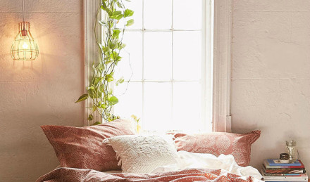 Image of a room decorated with a plant. 