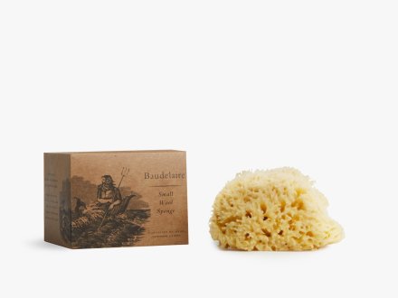 Natural Sea Sponge Product Image