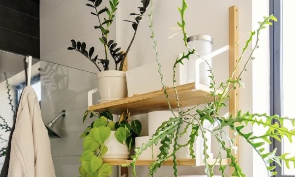 bathroom shelves 