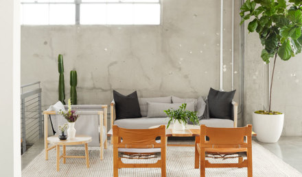 Image of potted plants scattered around a living space. 