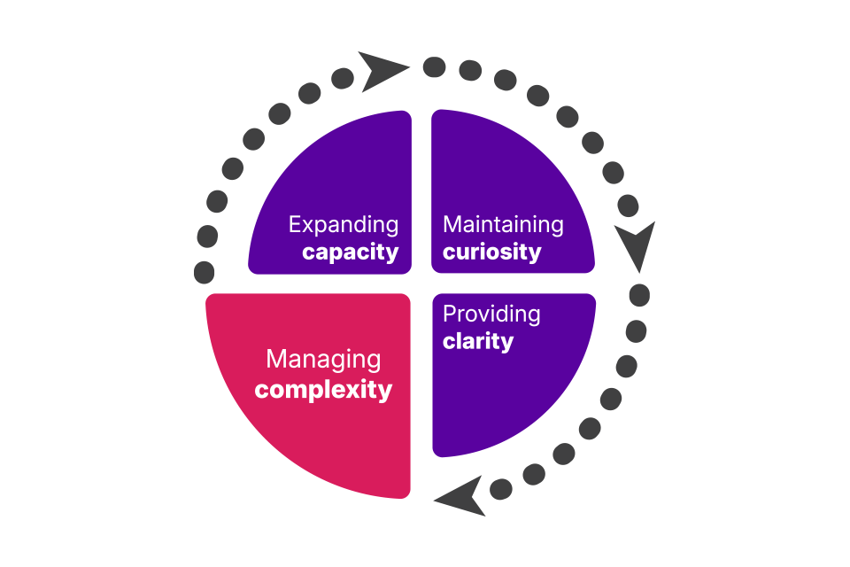 The 4 capabilities shown as 4 sections in a circle. Capability 3 which is managing complexity, is highlighted.