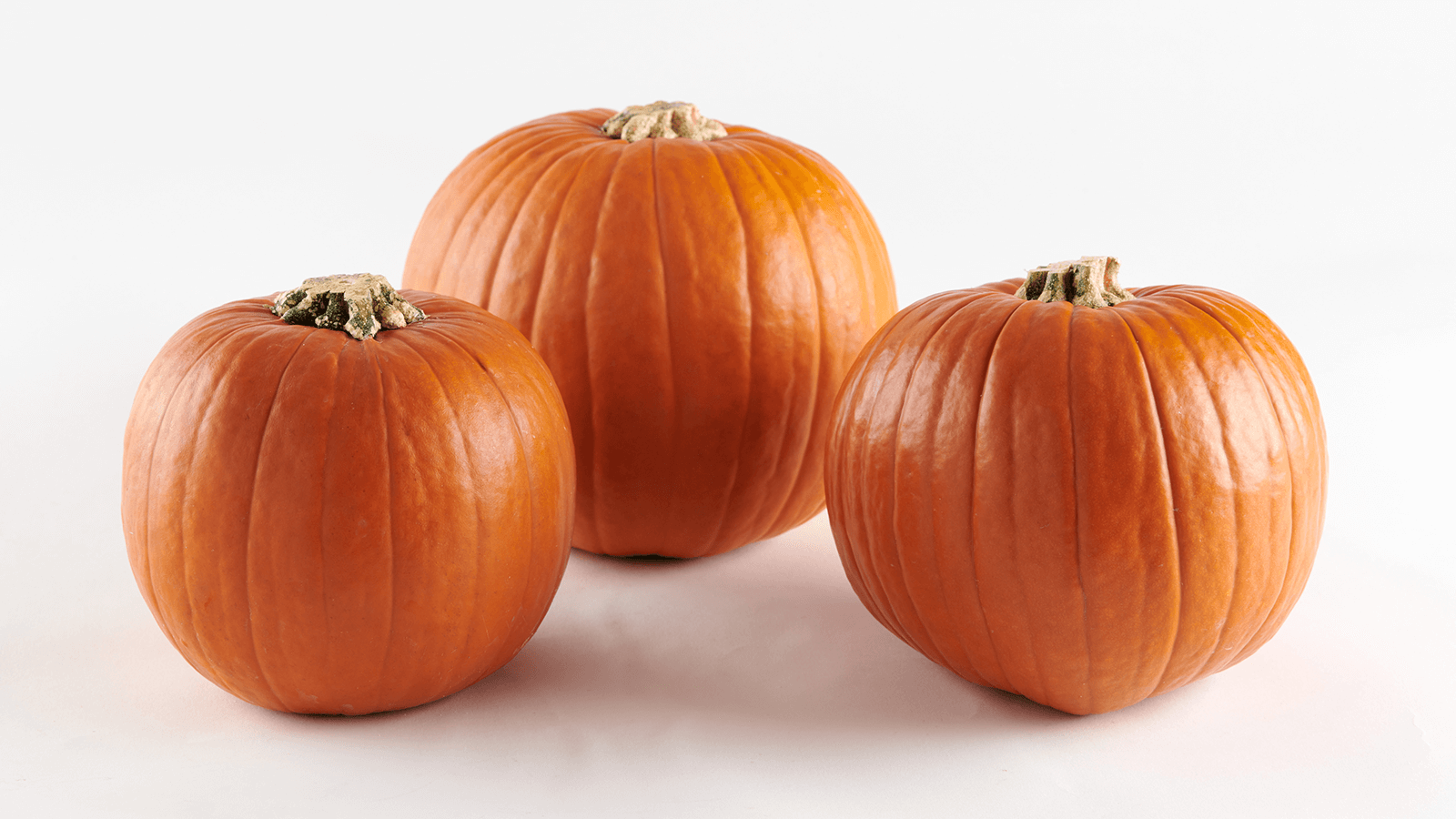 Organic Pie Pumpkins