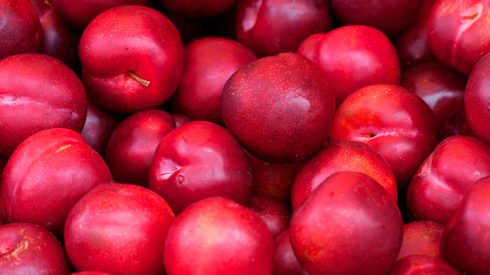 Fresh Fruit  The Fresh Market