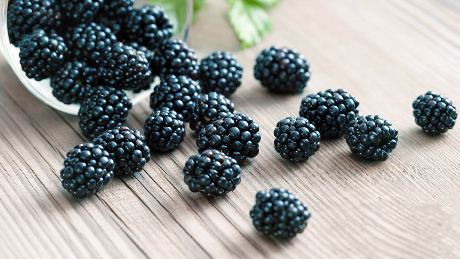 blackberries-on-table