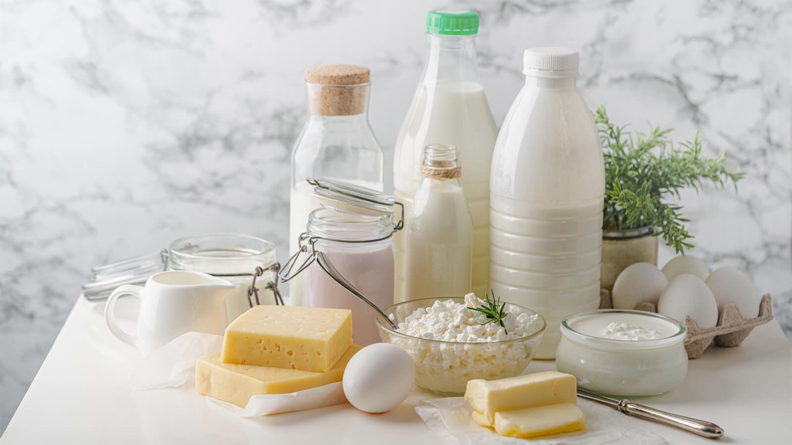 WEB Organic Dairy Club