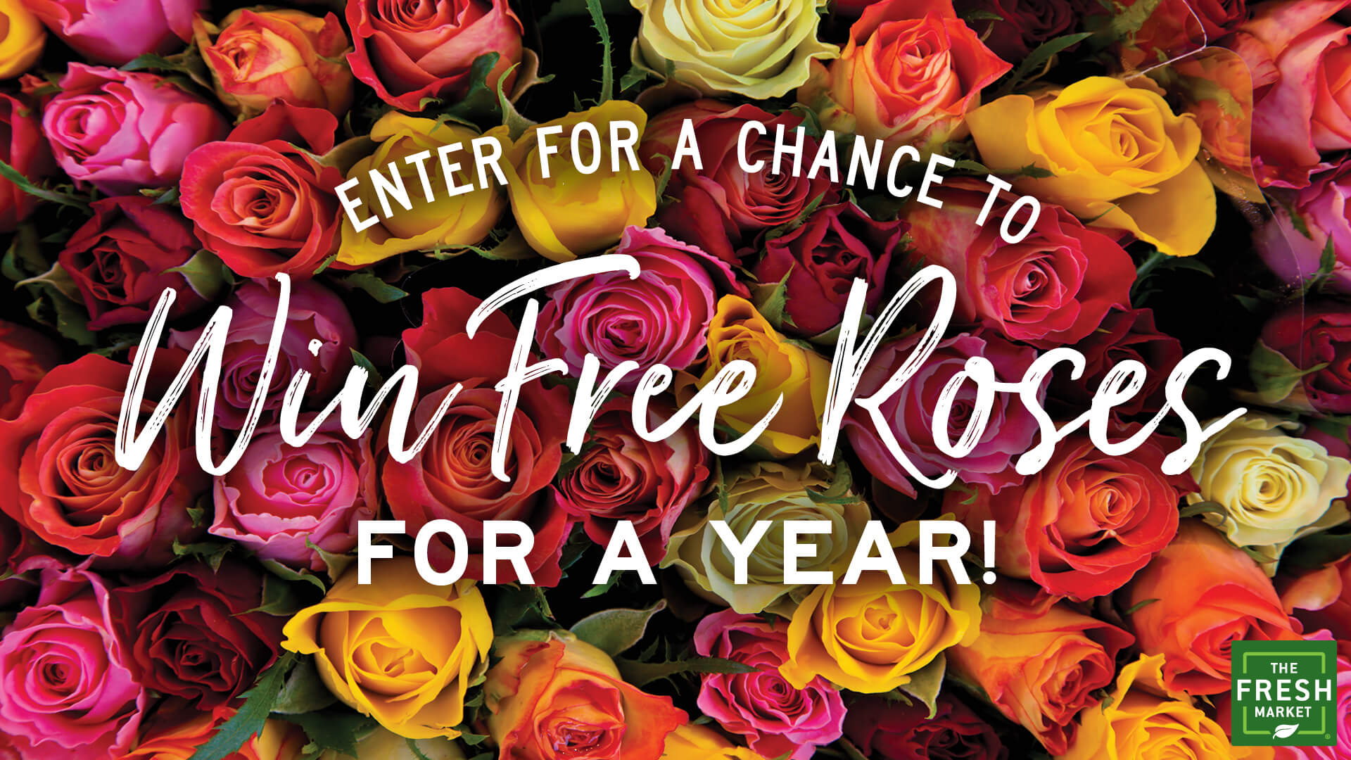 tfm free roses for a year hero
