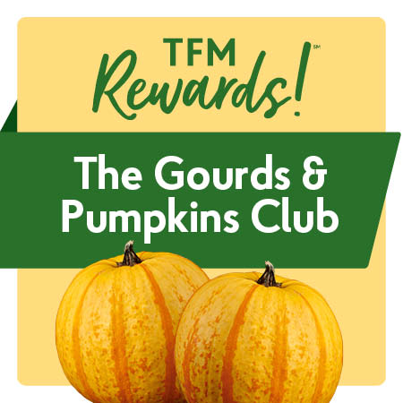 2026 TFMR-Club-Hub pumpkins-gourds