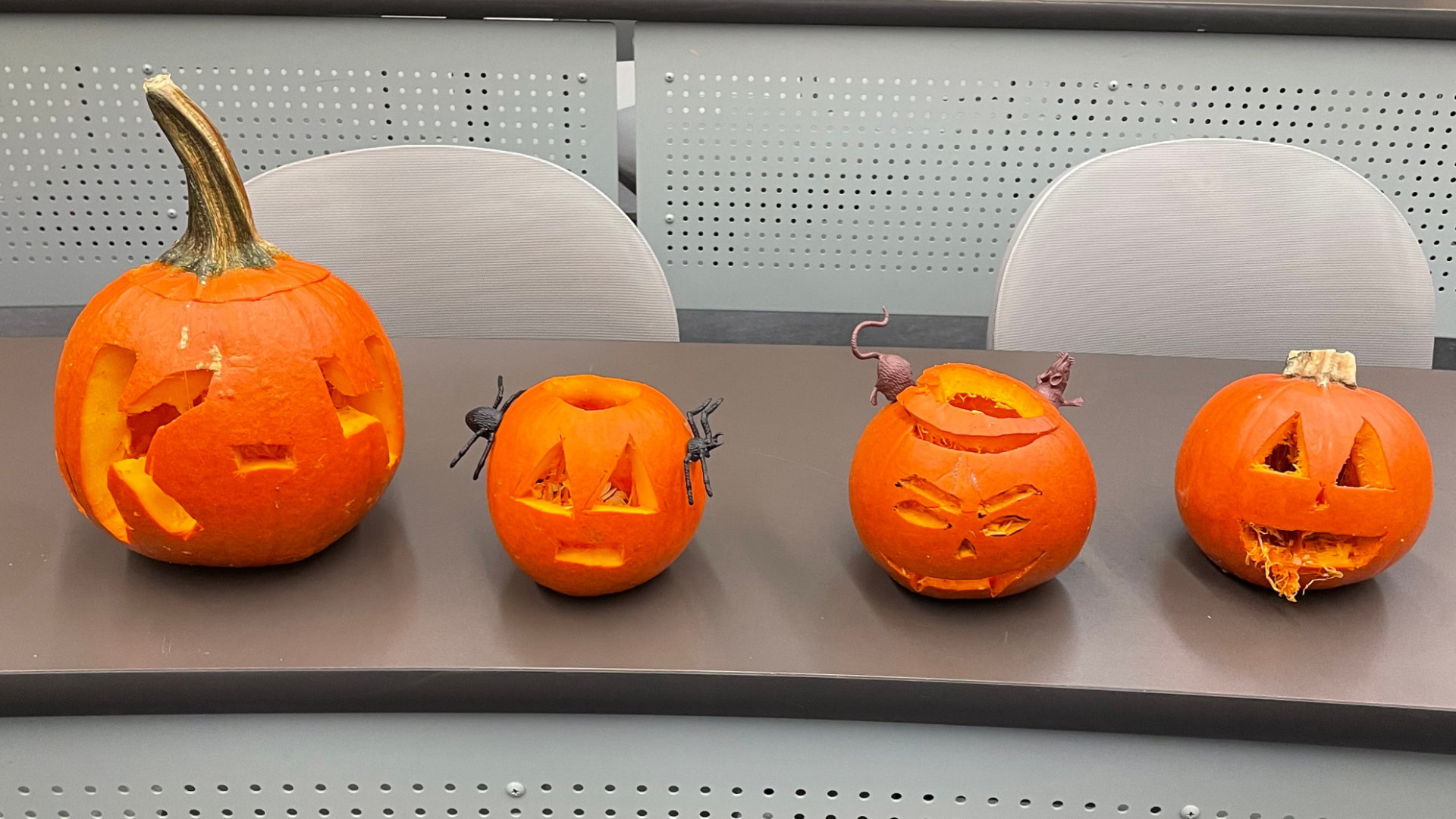 A row of pumpkins carved by attendees at the 2022 Halloween Pumpkin Carving Night.