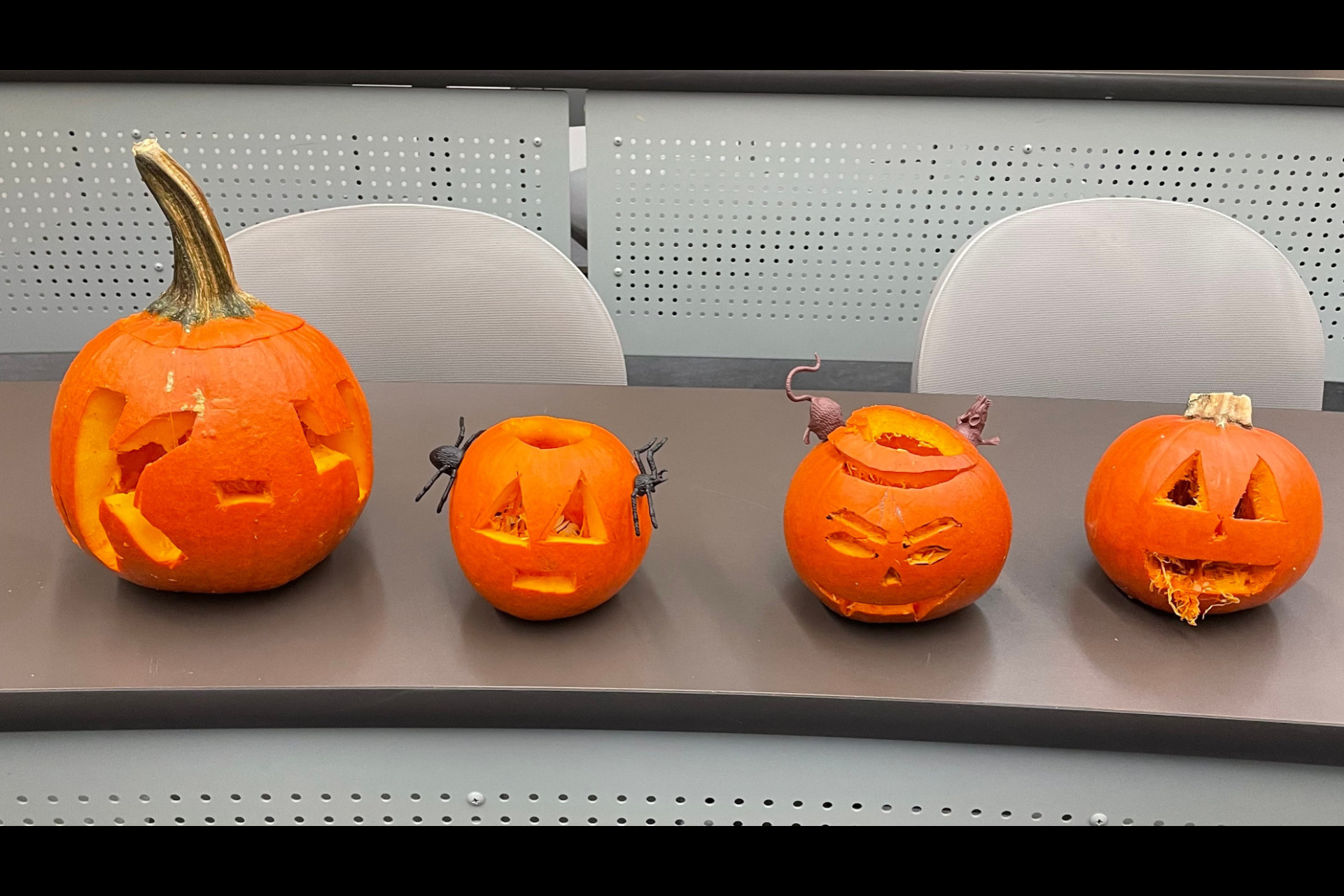 A row of pumpkins carved by attendees at the 2022 Halloween Pumpkin Carving Night.