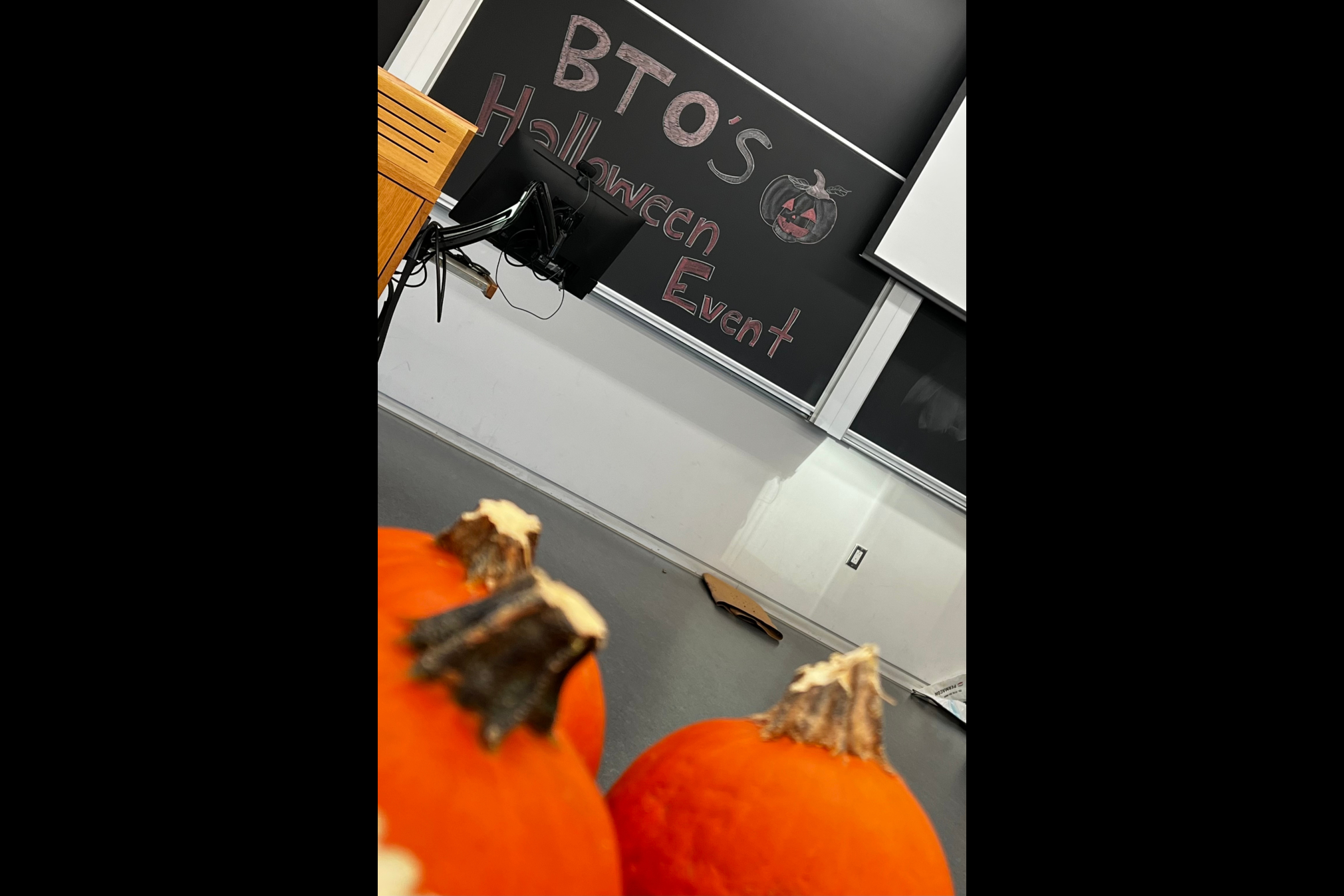 Pumpkins are lined up in preparation of the 2022 Halloween Pumpkin Carving Night.