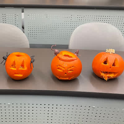 Three pumpkins carved during the 2022 BTO Pumpkin Carving Night