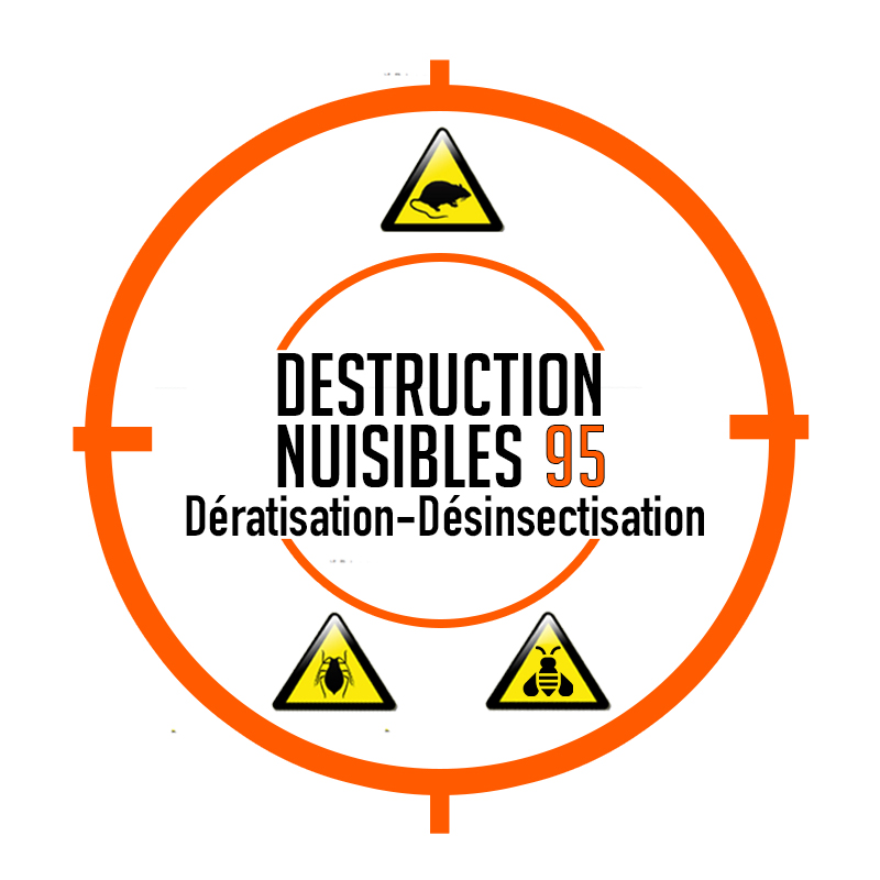 Dératisation Désinsectisation Désinfection
