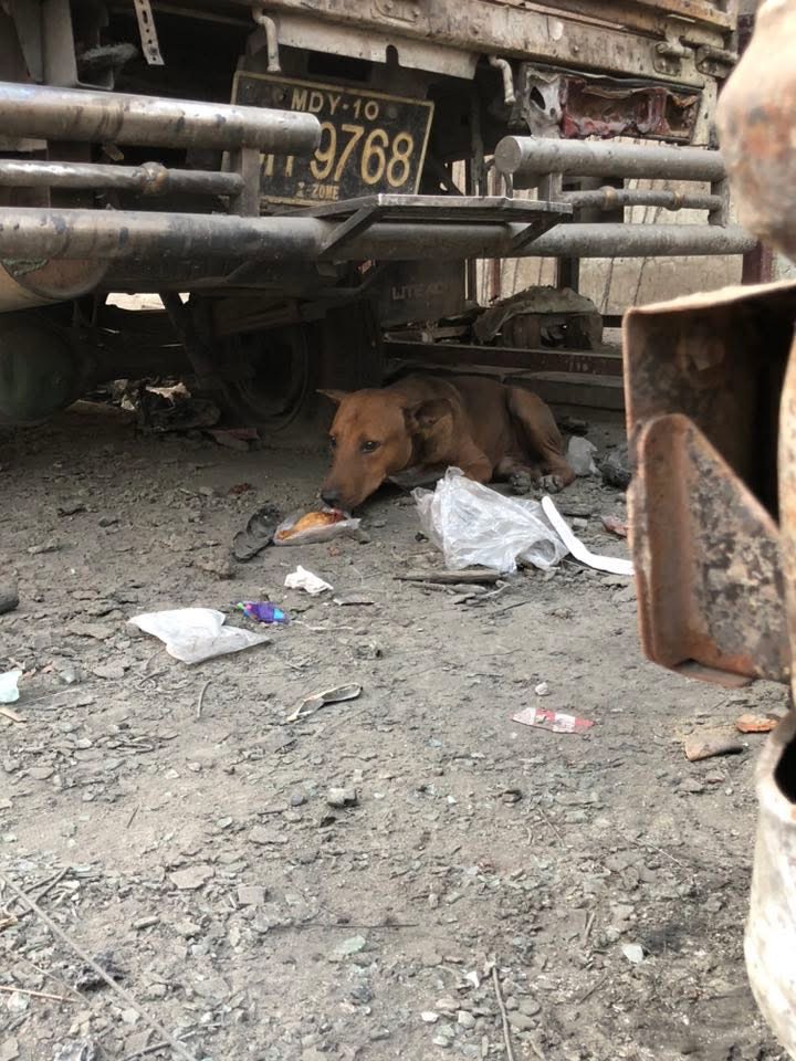 Emergency Relief in Mandalay: Shrey's Fundraiser